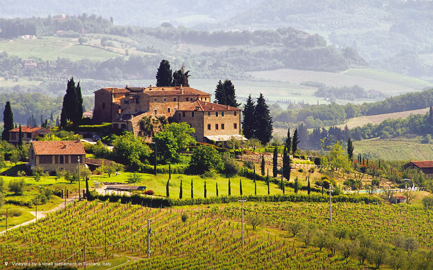 Tuscany Vineyard