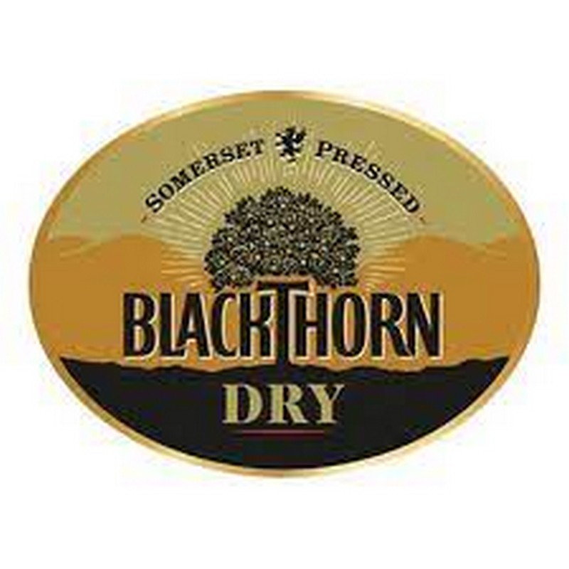 Cider Keg cider from Swallow