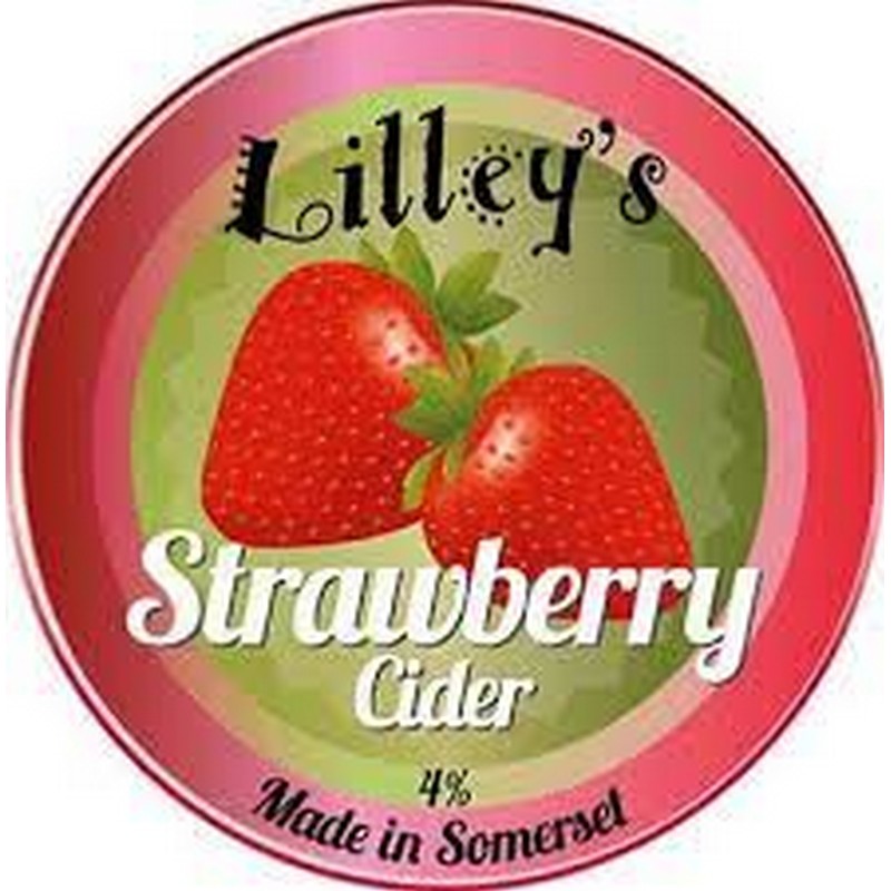 LILLEYS STRAWBERRY 20LTR BIB 4%