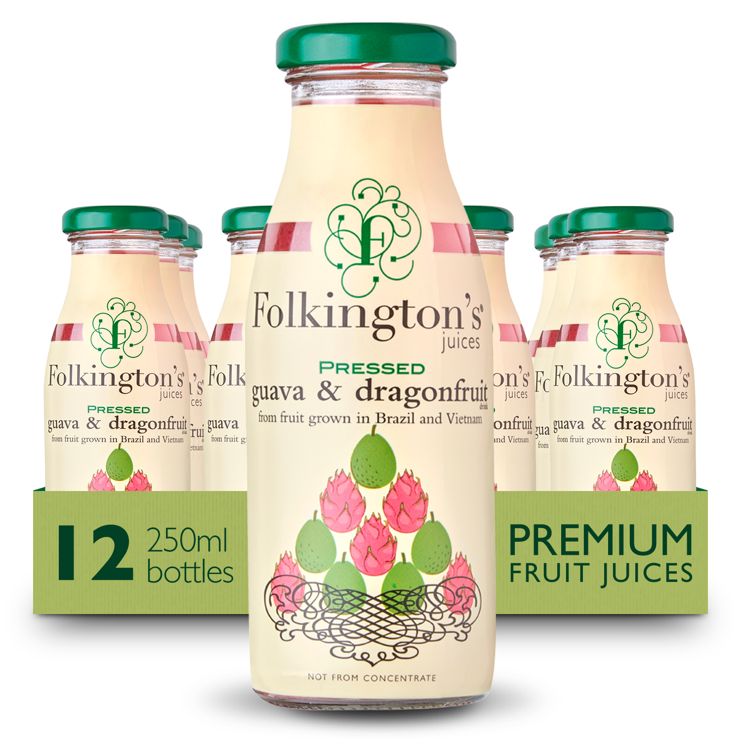 FOLKINGTONS GUAVA & DRAGONFRUIT 12 X 250ML