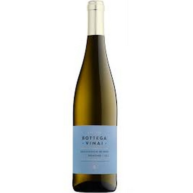 BOTTEGA VINAI SAUVIGNON BLANC 13% 75CL
