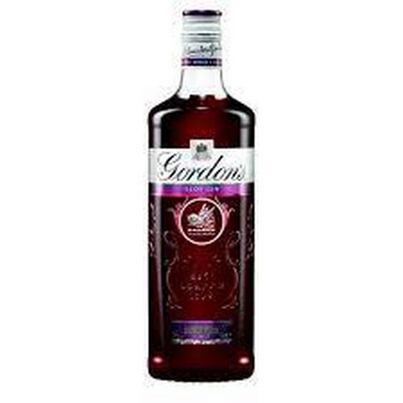 GORDONS SLOE GIN 70CL